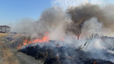 Çorlu Belediyesi Zabıta Müdürlüğü ekipleri, rutin devriye görevleri sırasında Havuzlar