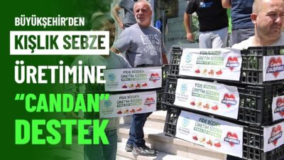 Tekirdağ Büyükşehir Belediyesi, üreticilerin girdi maliyetlerini azaltmak ve kentte sebze