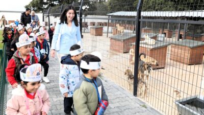 4 Ekim Dünya Hayvanları Koruma Günü dolayısıyla Çerkezköy Belediyesi Sahipsiz