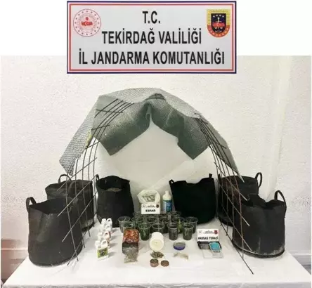 Evine Sera Kurup Uyuşturucu Yetiştirmiş Tekirdağ'ın Marmaraereğlisi ilçesinde evine sera kurup uyuşturucu yetiştiren C.B., yakalandı.