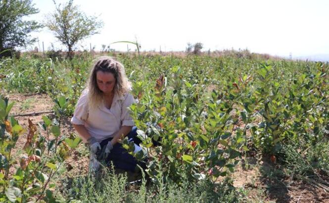 İSTANBUL’da, 5 yıl özel bir hastanede sekreterlik yapan Berna Demirtaş