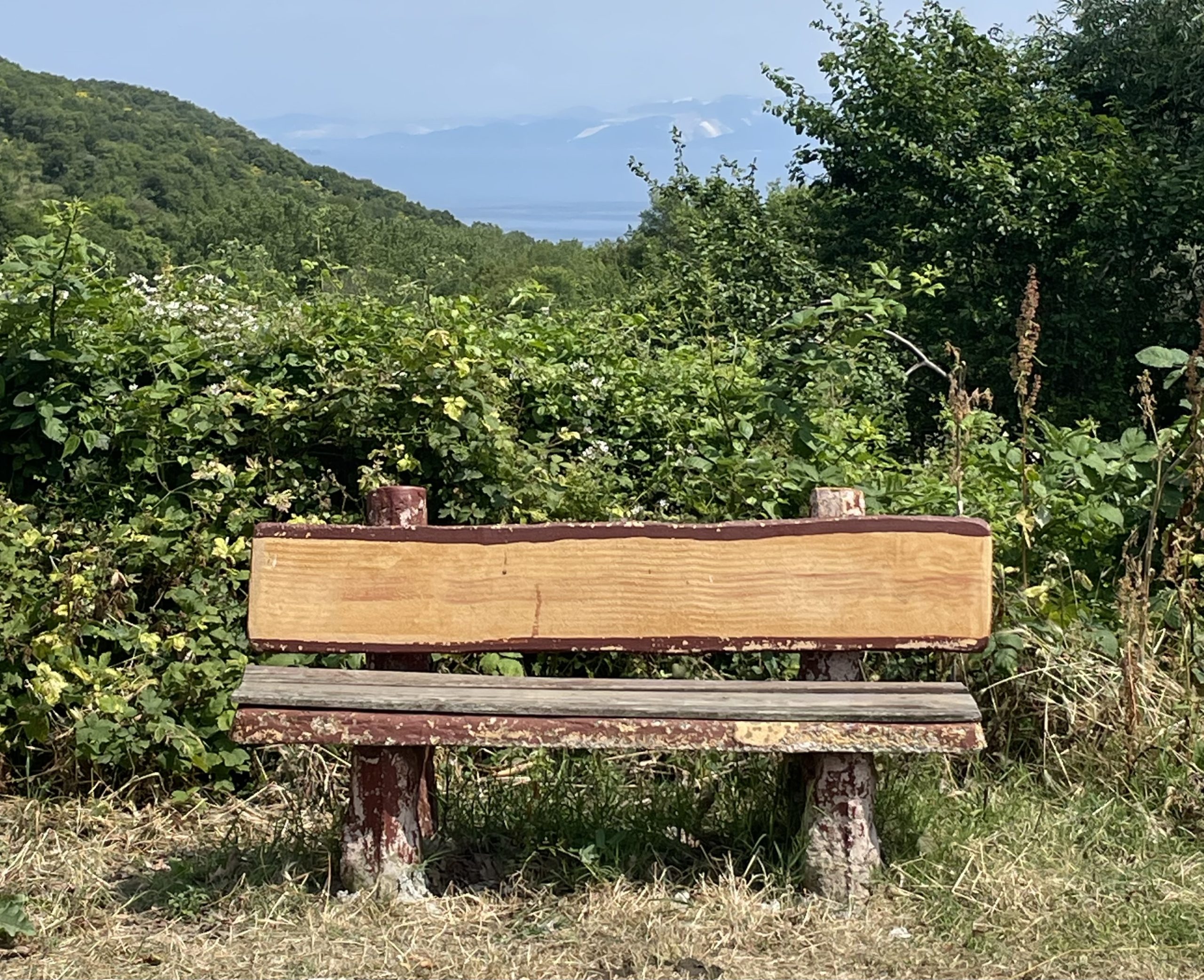 Valilik kararı ile buralara girmek yasaklandı Tekirdağ’da belirli alanlar dışında ormanlarda piknik yapmak yasaklandı. Tekirdağ’da Valilik