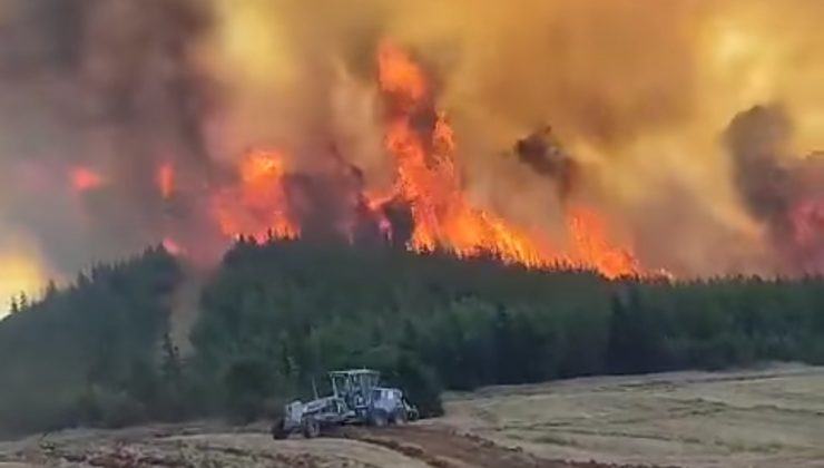 Malkara’da orman yangını 2 Mahalle tahliye edildi Tekirdağ’da çıkan orman yangınında alevlerin tehdit ettiği iki kırsal mahallede