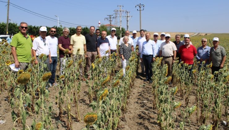 Kış aylarında yaşanan kuraklık Tekirdağ çiftçisini olumsuz etkiledi. Buğdayda verimlerin