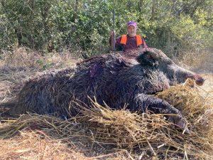 Tekirdağ'ın Yağcı köyünde, çiftçilerin mahsullerine dadanan 190 kiloluk domuz 'Özdomuzcular'