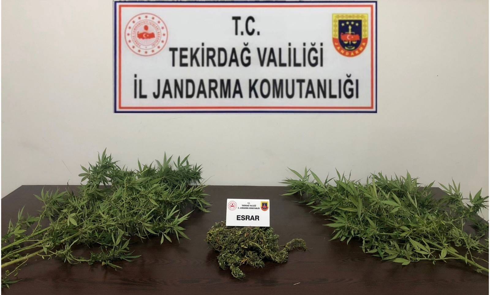 Tekirdağ’ın Ergene, Marmaraereğlisi, Malkara ve Çerkezköy ilçelerinden jandarma ekiplerince uyuşturucu