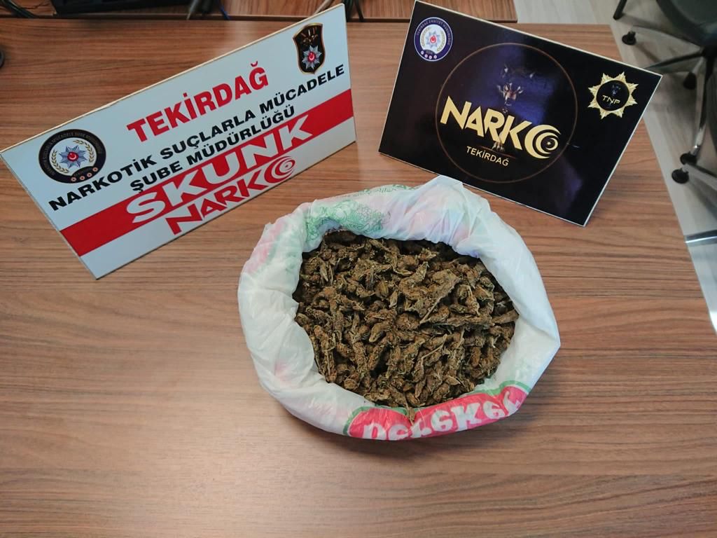 Tekirdağ İl emniyet Müdürlüğü ekipleri Süleymanpaşa ilçesinde 503 gram skunk