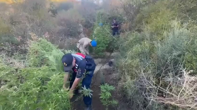 Tekirdağ İl Jandarma komutanlığı ekipleri Şarköy’de düzenlediği operasyonda 541 adet
