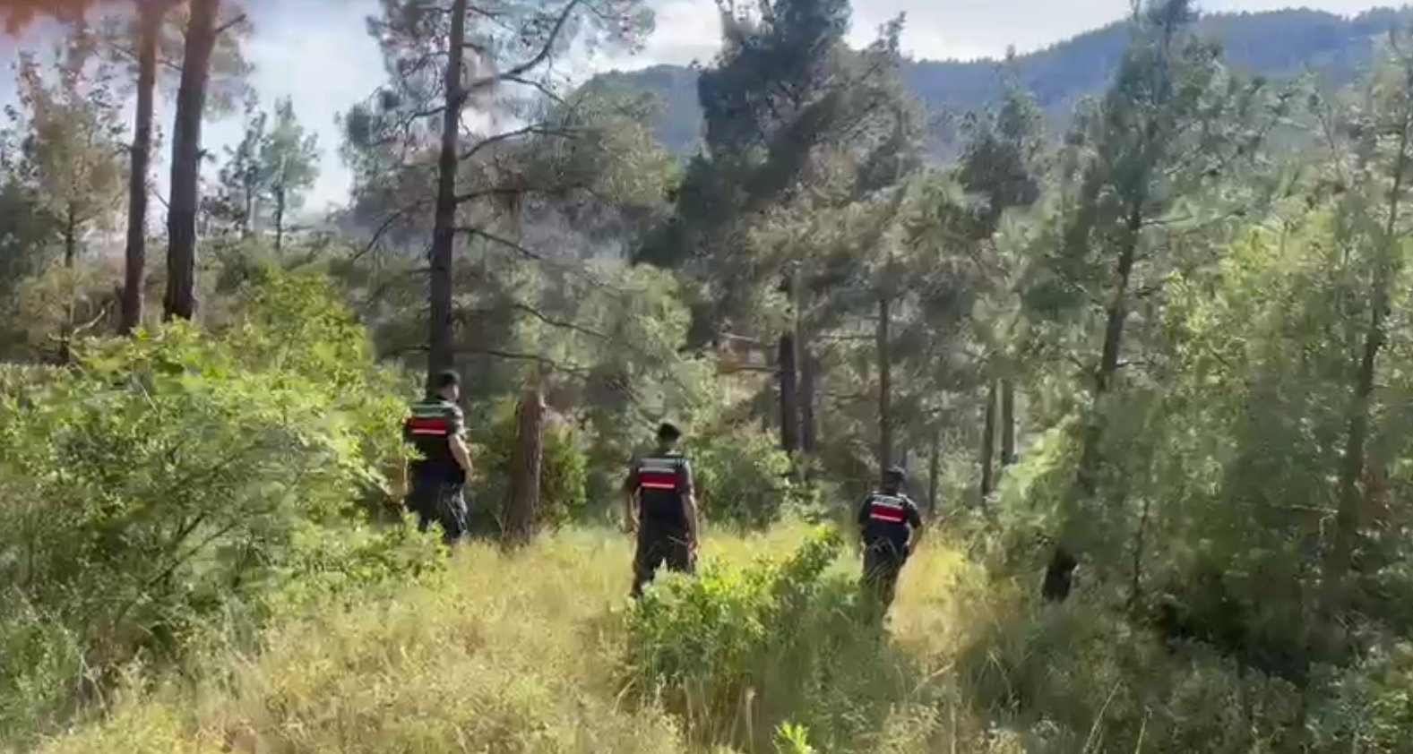 Orman Yangınlarını Önlemek İçin Havadan Ve Karadan Devriye - Yaz aylarının gelmesi ile birlikte Tekirdağ İl Jandarma Alay