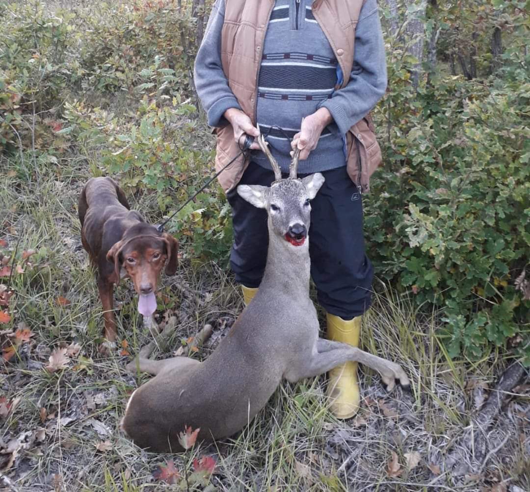 Tekirdağ’ın Saray ilçesinde avlanması yasak olan karacayı vuran bir avcıya