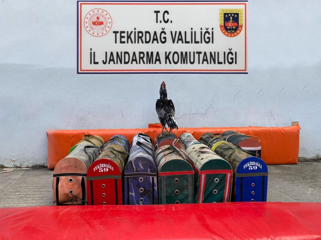 Tekirdağ İl Jandarma Alay Komutanlığı ekipleri, Süleymanpaşa ilçesinde bir çiftliğe