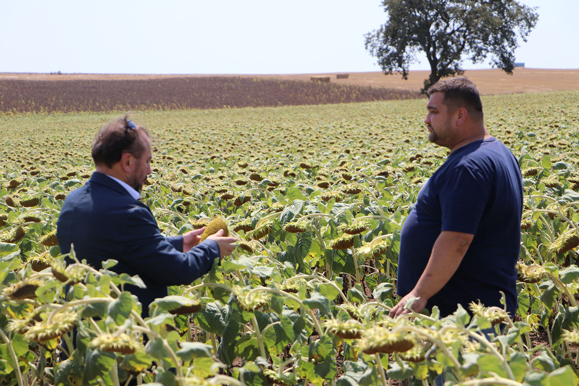 Trakya Kalkınma Ajansı desteği ile üretilen yerli ve milli hibrit