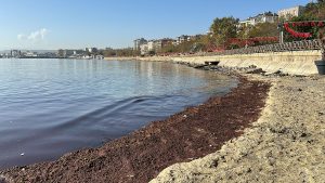 Geçtiğimiz günlerde, Marmara denizinde etkili olan şiddetli lodos, Tekirdağ kıyılarına