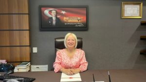 Cumhuriyet Halk Partisi (CHP) Tekirdağ Milletvekili Nurten Yontar, Bilim Sanat