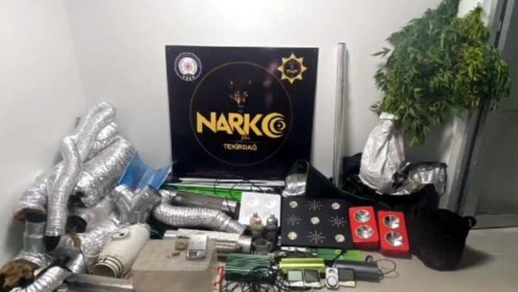 Tekirdağ'da evinde sera kurup, Hint keneviri yetiştirerek uyuşturucu üretip satan