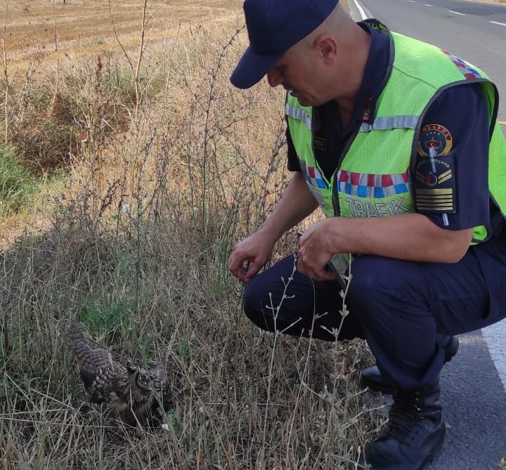 Tekirdağ’ın Ergene ilçesinde devriye faaliyetine çıkan jandarma trafik ekipleri, yolda